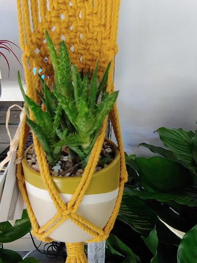 Florist «Tiger Lily Florist Inc.», reviews and photos, 131 Spring St, Charleston, SC 29403, USA