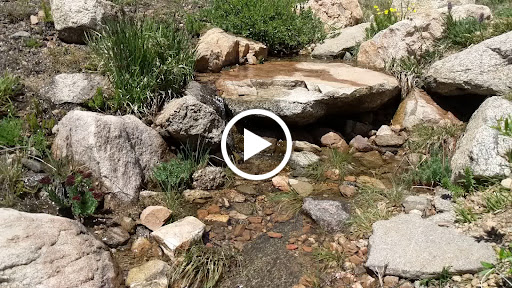 Nature Preserve «Mount Goliath Natural Area», reviews and photos, Mt Evans Rd, Evergreen, CO 80439, USA