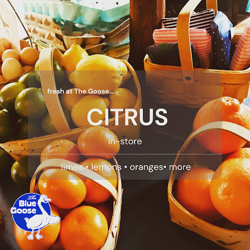 Hostel «Blue Goose Bike Hostel», reviews and photos, 128 E Main St, Irwinton, GA 31042, USA