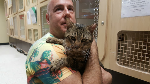 Pet Supply Store «Petco Animal Supplies», reviews and photos, 30 Veterans Memorial Hwy, Commack, NY 11725, USA