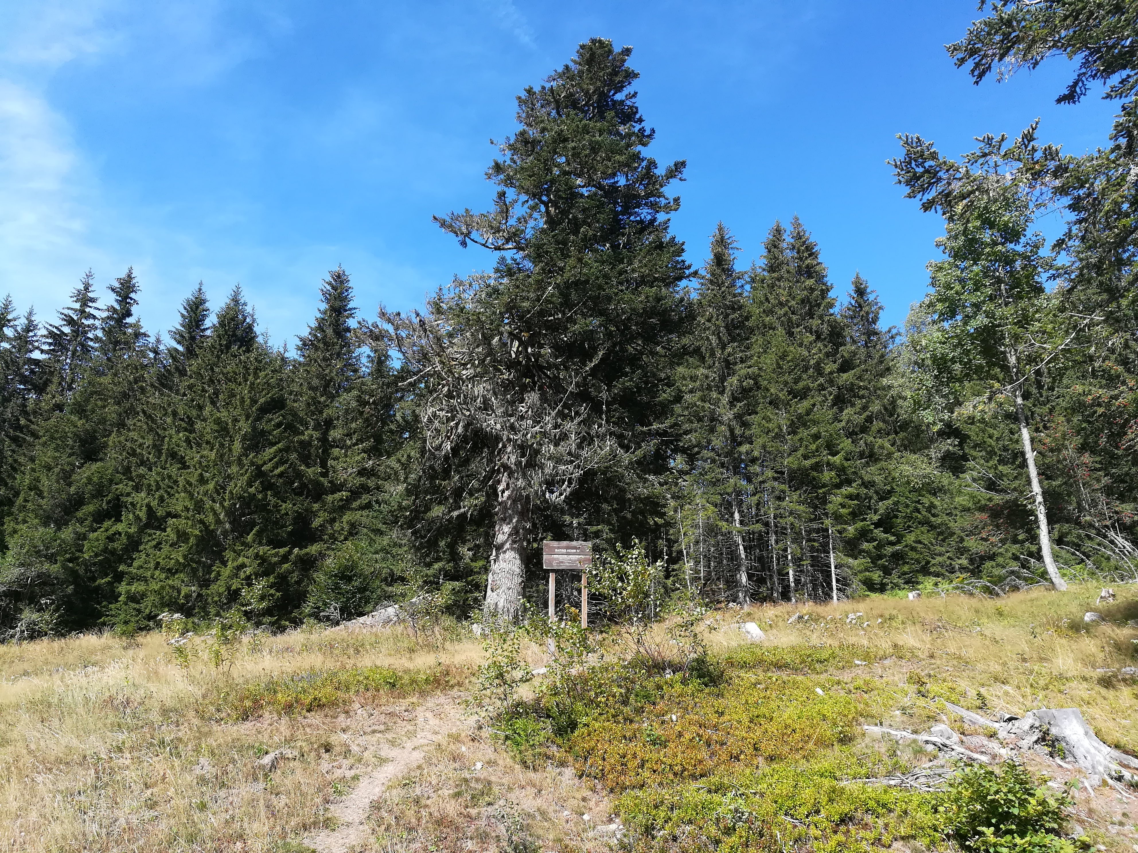 Photo n° 1 de l'avis de Alain.a fait le 11/09/2018 à 08:39