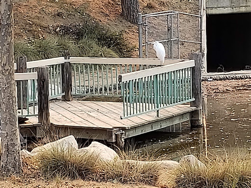 Park «Oak Canyon Community Park», reviews and photos, 5600 Hollytree Dr, Oak Park, CA 91377, USA