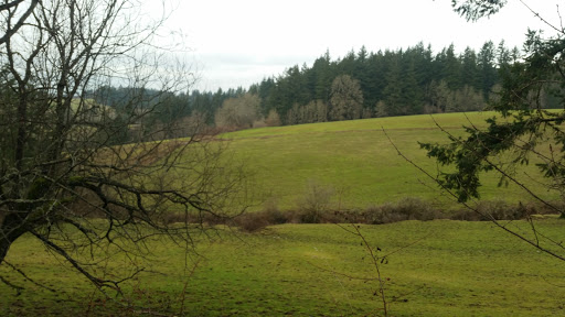 Natural History Museum «Rice Northwest Museum of Rocks & Minerals», reviews and photos, 26385 NW Groveland Dr, Hillsboro, OR 97124, USA