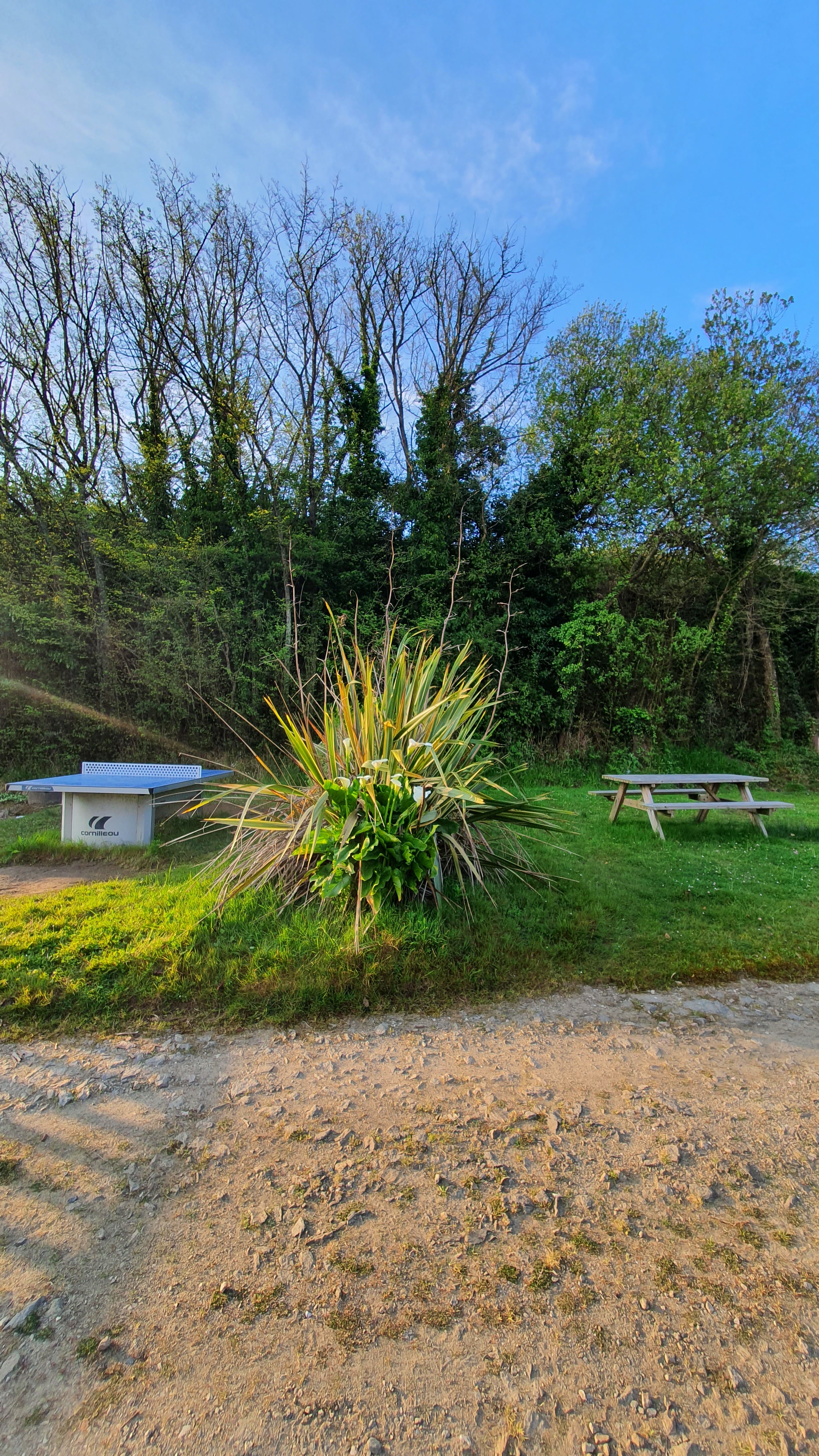 Photo n° 7 de l'avis de Labbe.e fait le 30/04/2022 à 17:52