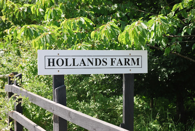Reviews of Hollands Farm Beef in Oxford - Butcher shop