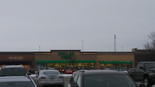 Dollar Store «Dollar Tree», reviews and photos, 14002 Hoard Dr #400, Noblesville, IN 46060, USA