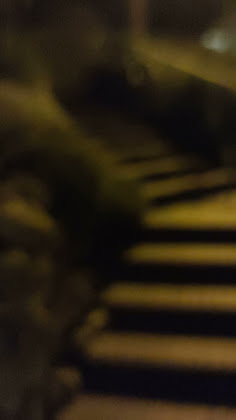 Vidéos Ferienwohnung FeWo Familie Walther 88677 Markdorf