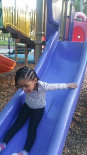 Community Center «Volunteer Park Community Center», reviews and photos, 12050 W Sunrise Blvd, Plantation, FL 33323, USA