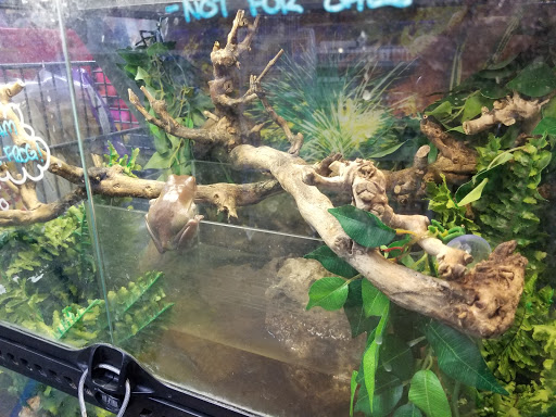 Pet Supply Store «Pet Club Santa Rosa», reviews and photos, 1935 Santa Rosa Ave, Santa Rosa, CA 95407, USA