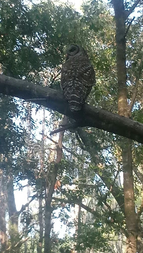 Nature Preserve «Gator Creek Reserve», reviews and photos, 9725 US Hwy 98 N, Lakeland, FL 33809, USA