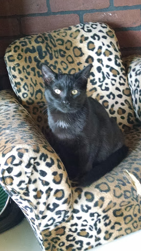 Pet Supply Store «Pet Supplies Plus», reviews and photos, 2057 S Telegraph Rd, Bloomfield Hills, MI 48302, USA