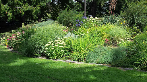 Park «Volunteer Park», reviews and photos, 1247 15th Ave E, Seattle, WA 98112, USA