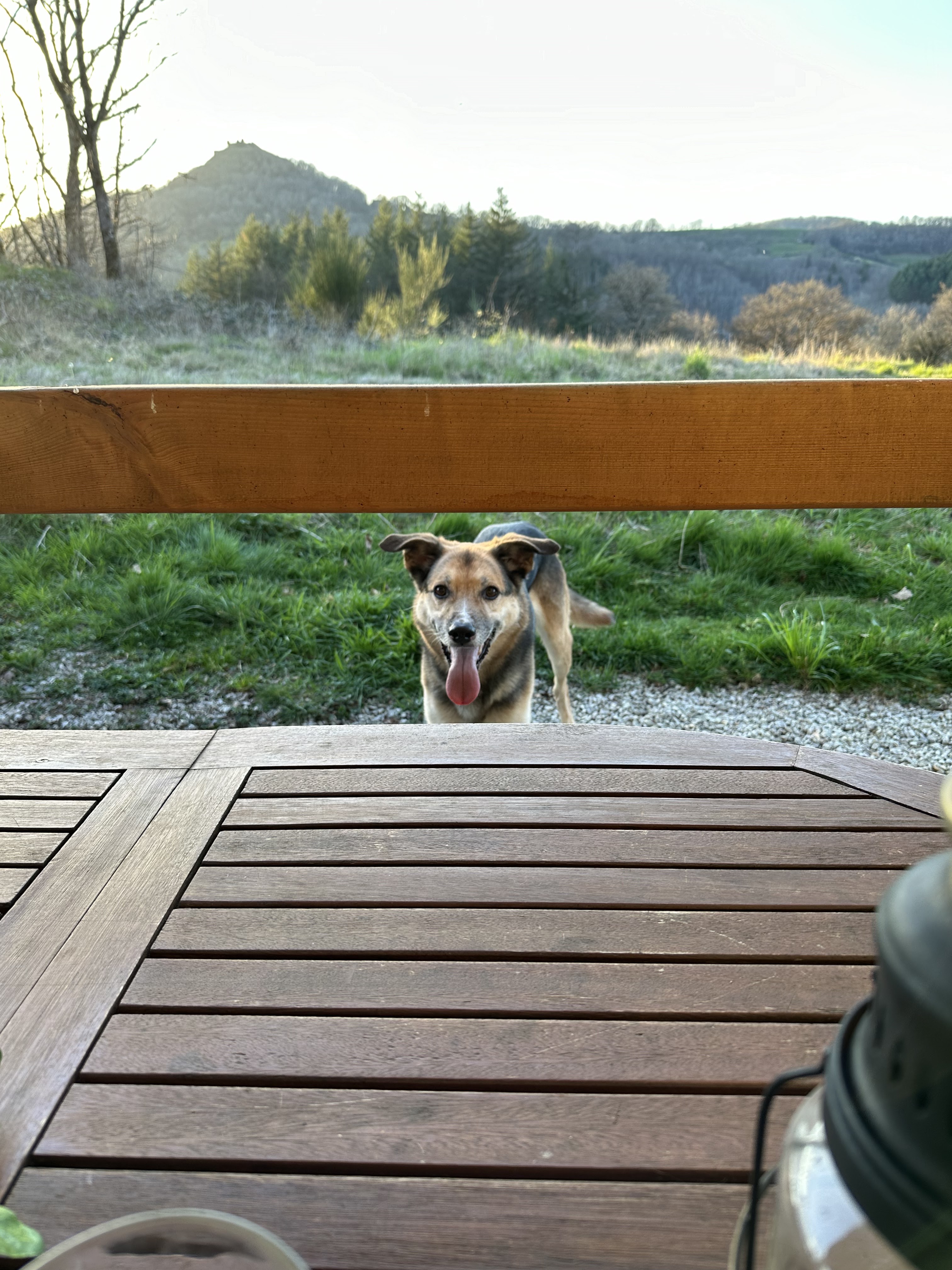 Photo n° 2 de l'avis de Avril.n fait le 27/03/2024 à 15:36