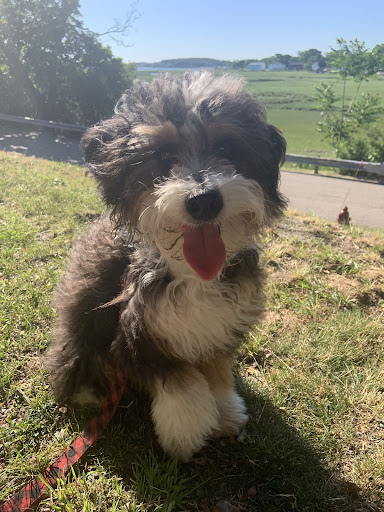 Pet Supply Store «Raw Paws Pet Food», reviews and photos, 5601 Fortune Cir S P, Indianapolis, IN 46241, USA