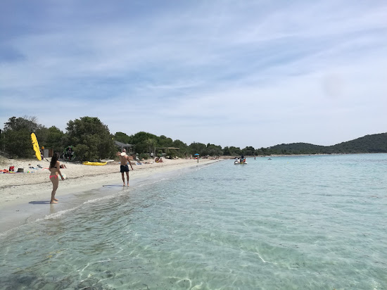 Plage de Pinarellu II