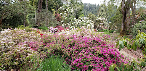 Hinsdale Rhododendron Garden