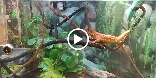 Pet Supply Store «Petco Animal Supplies», reviews and photos, 31419 Pacific Hwy S, Federal Way, WA 98003, USA