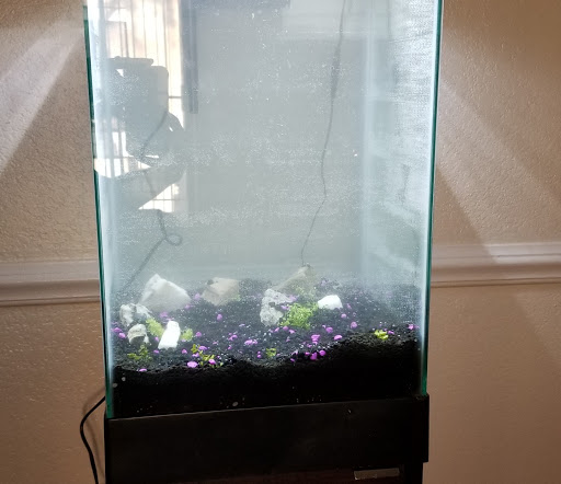 Pet Supply Store «Petco Animal Supplies», reviews and photos, 585 E Wetmore Rd, Tucson, AZ 85705, USA