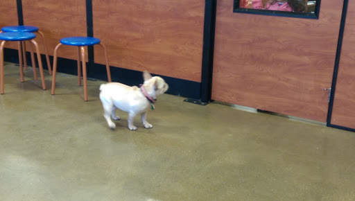 Pet Supply Store «PetSmart», reviews and photos, 1380 Fitzgerald Dr, Pinole, CA 94564, USA