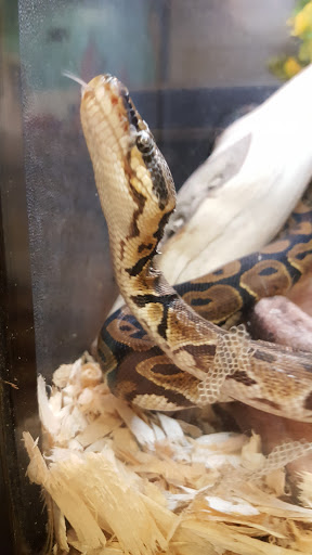 Pet Supply Store «PetSmart», reviews and photos, 19075 Interstate 45 S, Shenandoah, TX 77385, USA