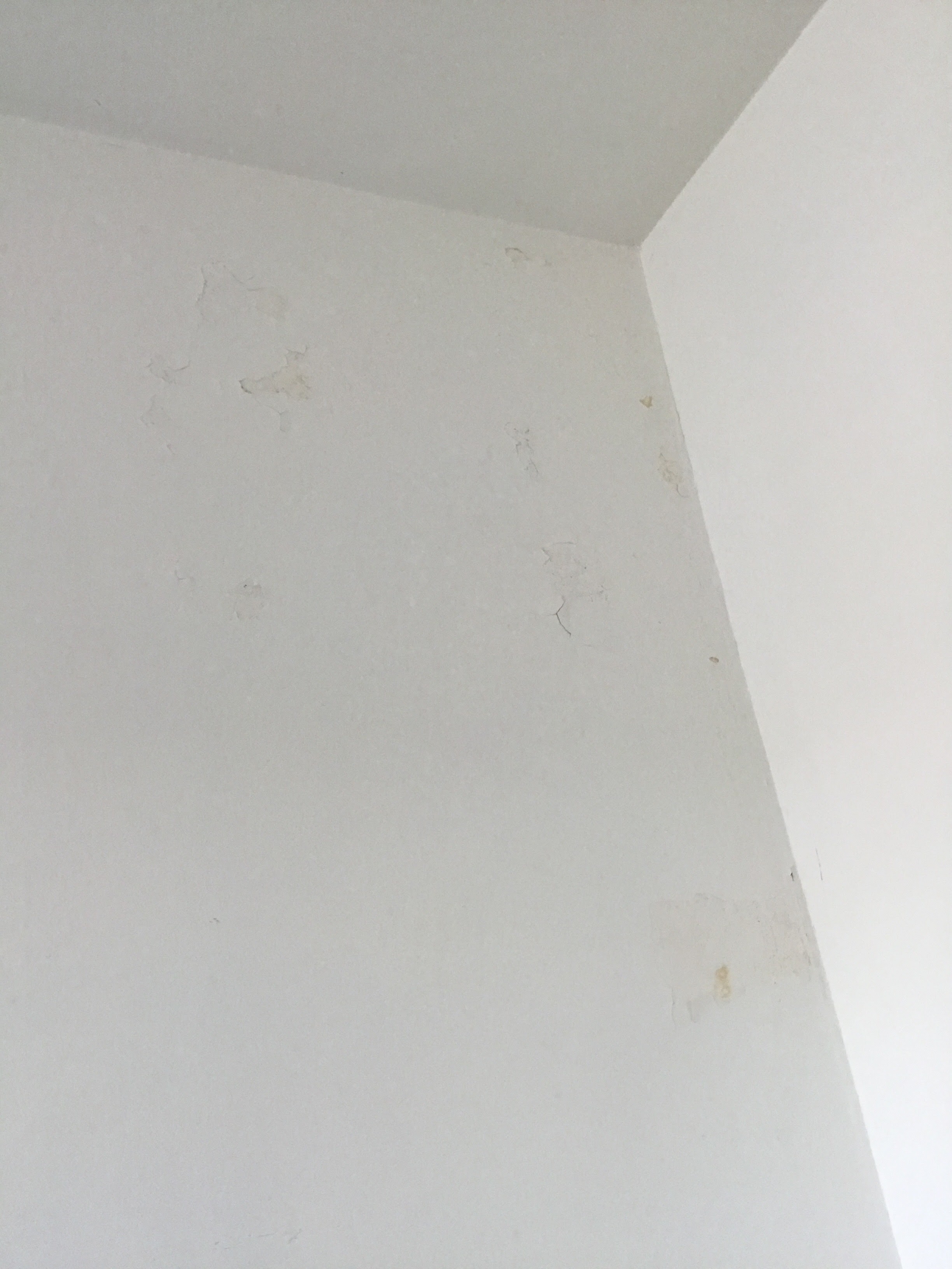 Photo n° 2 de l'avis de Ruddy.o fait le 09/03/2024 à 12:37