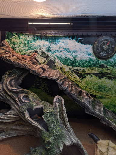 Pet Supply Store «PetSmart», reviews and photos, 620 N West End Blvd, Quakertown, PA 18951, USA