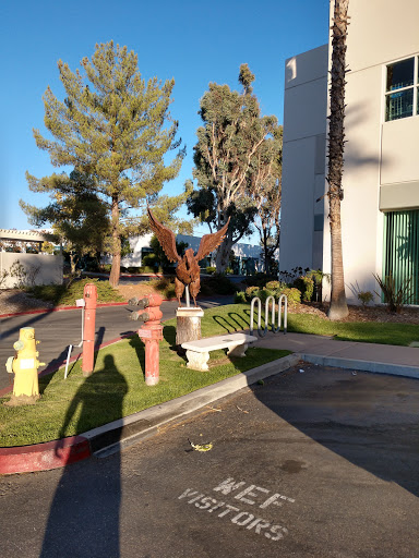 Food Bank «Western Eagle Foundation», reviews and photos