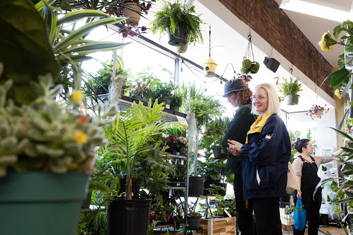 Hardware Store «Old Takoma Ace Hardware», reviews and photos, 7001 Carroll Ave, Takoma Park, MD 20912, USA