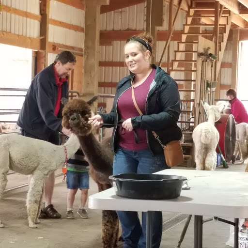 Livestock Breeder «Alpacas at Marquam Hill Ranch», reviews and photos, 35835 OR-213, Molalla, OR 97038, USA