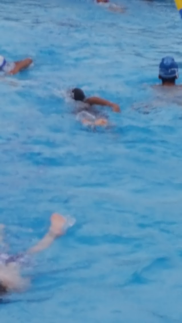 Photo of Mills College at Northeastern University Pool Trefethen Aquatic Center in Oakland