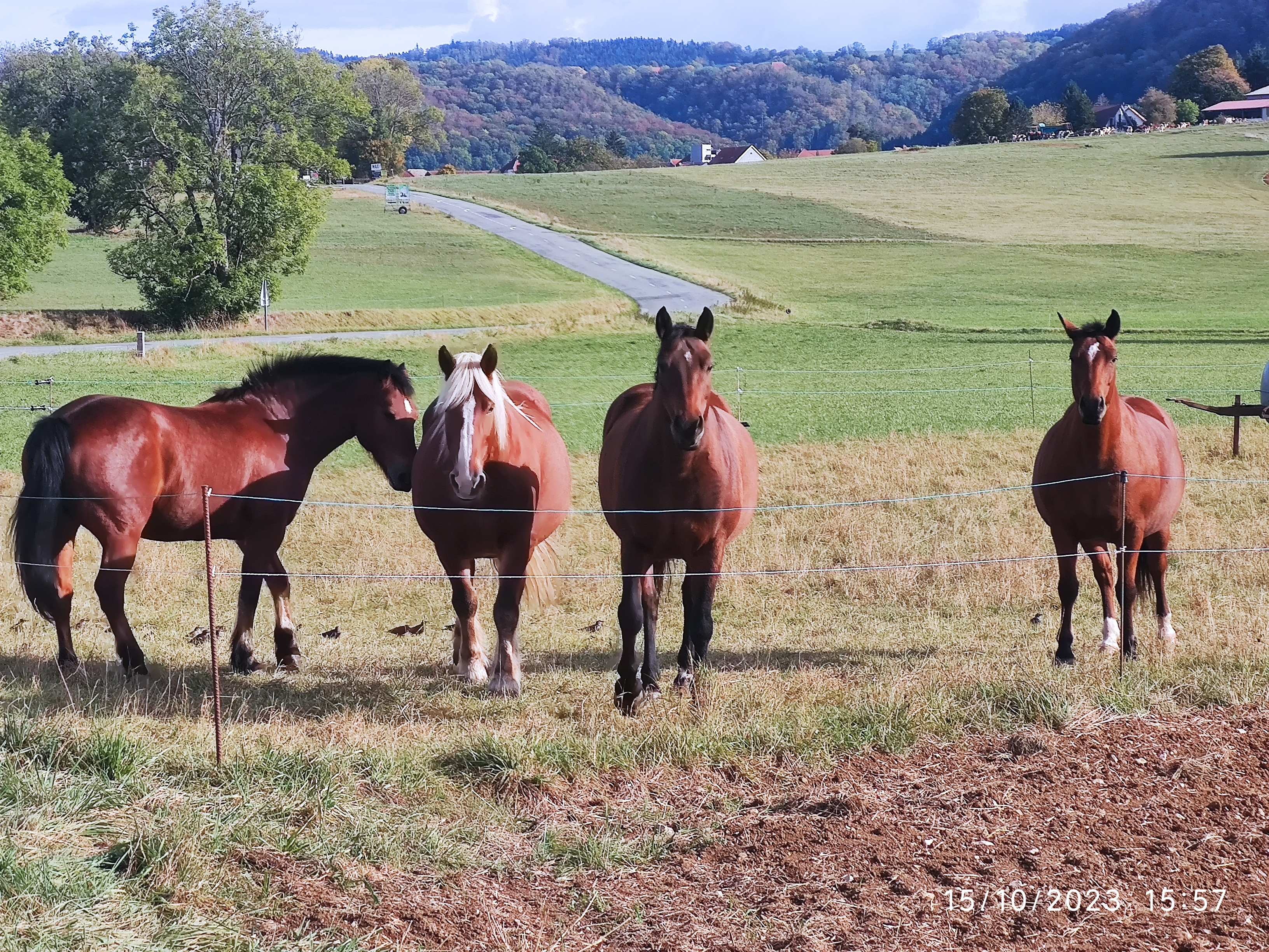 Photo n° 43 de l'avis de Patrick.i fait le 12/12/2023 à 10:07