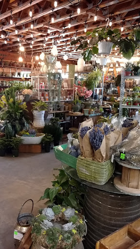 Garden Center «Copia Home and Garden», reviews and photos, 475 Smith Ridge Rd, South Salem, NY 10590, USA