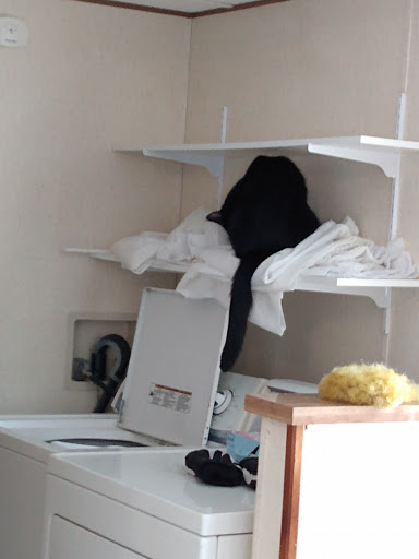 Home Goods Store «Dollar General», reviews and photos, 2649 Main St, Whitney Point, NY 13862, USA