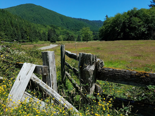 National Park «Olympic National Park», reviews and photos, 3002 Mt Angeles Rd, Port Angeles, WA 98362, USA