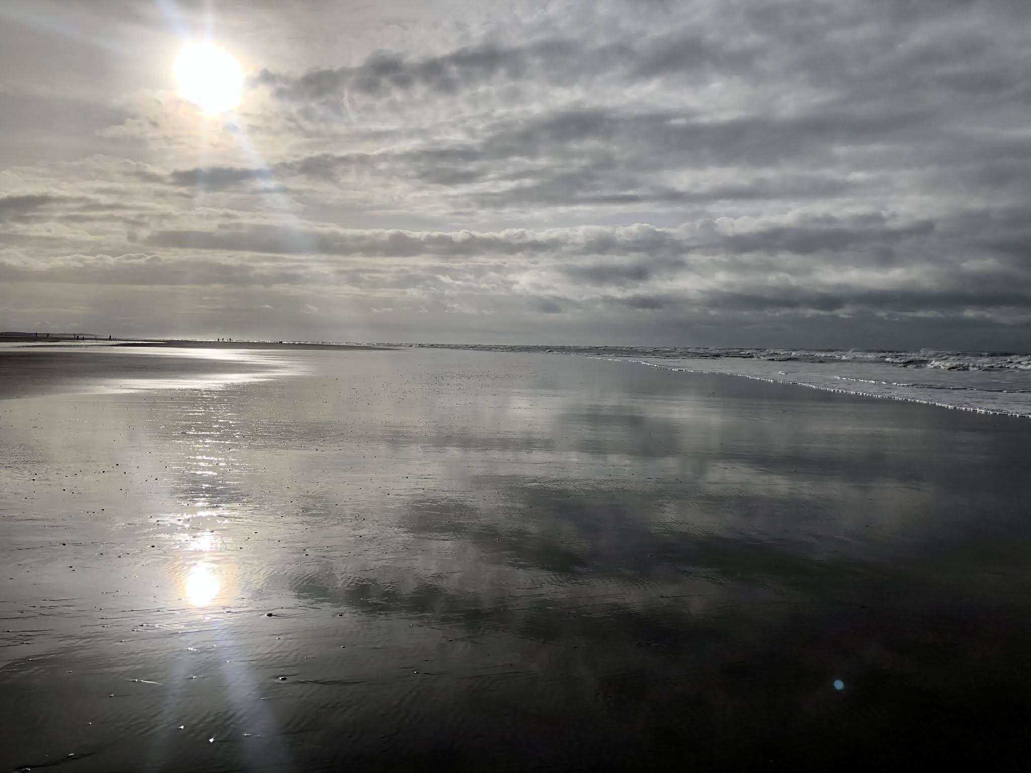 Photo n° 2 de l'avis de Didier.a fait le 12/01/2021 à 19:55