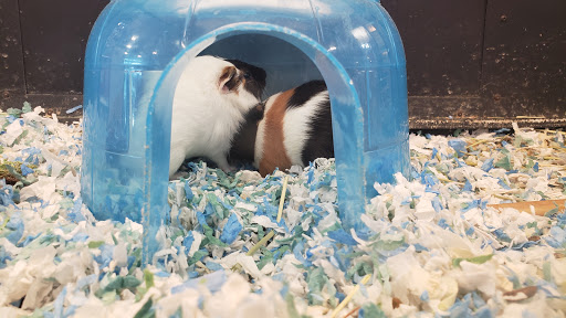 Pet Supply Store «PetSmart», reviews and photos, 6590 20th St, Vero Beach, FL 32966, USA