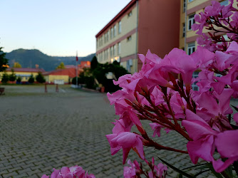 Tirebolu Şehit İsmail Kefal Mesleki ve Teknik Anadolu Lisesi