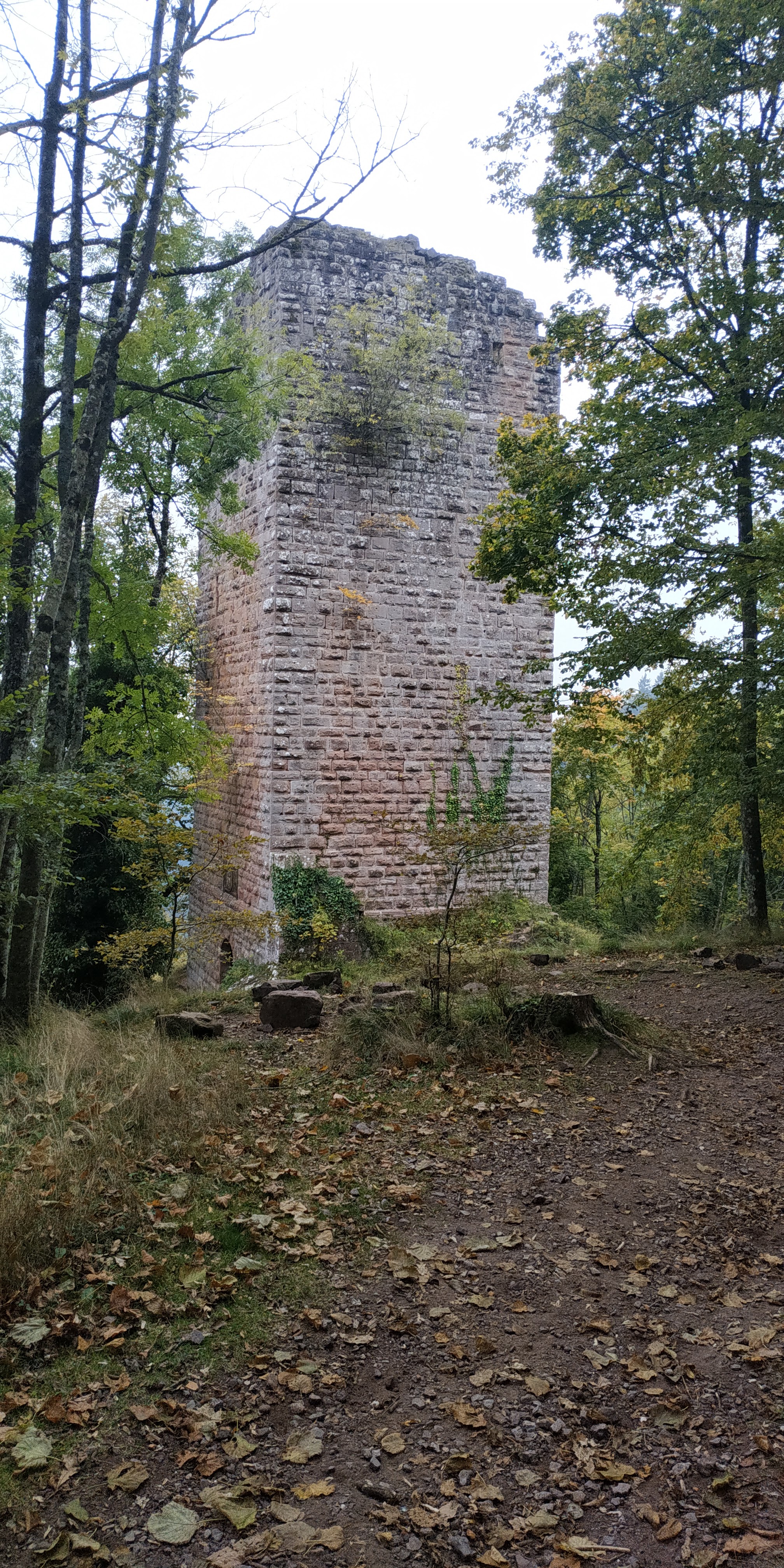 Photo n° 1 de l'avis de Sorti.u fait le 18/10/2021 à 08:32
