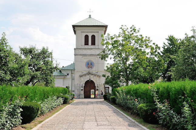 Aleea Mănăstirea Dealu 1, Viforâta 130004, România