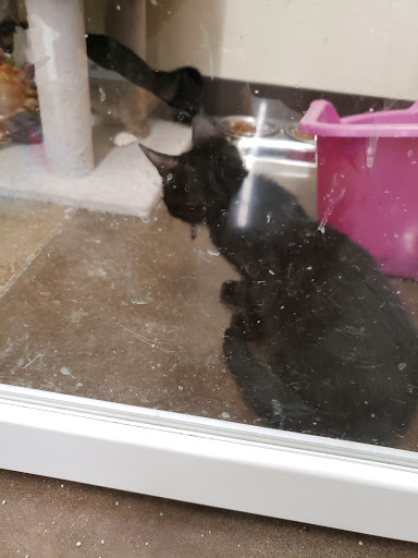 Pet Supply Store «Pet Supplies Plus», reviews and photos, 912 S Green River Rd a, Evansville, IN 47715, USA