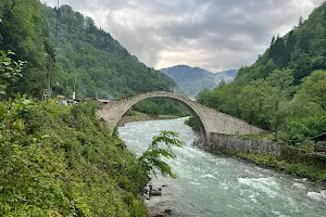 Şenyuva Bridge image