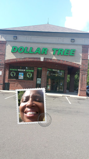 Dollar Store «Dollar Tree», reviews and photos, 10 School St, East Hartford, CT 06118, USA