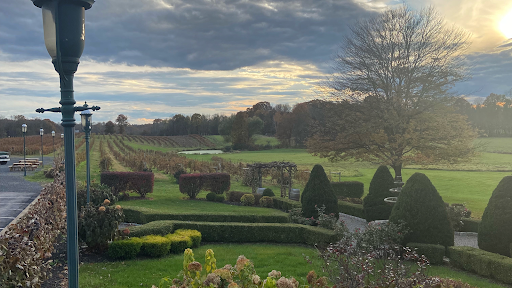 Winery «Magnanini Winery, Restaurant & Distillery», reviews and photos, 172 Strawridge Rd, Wallkill, NY 12589, USA