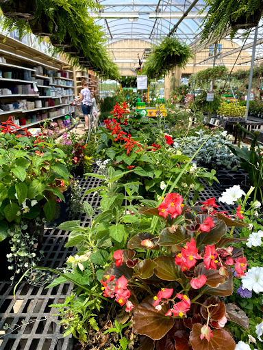 Garden Center «Stauffers of Kissel Hill Home & Garden Store», reviews and photos, 4450 Lincoln Hwy, York, PA 17406, USA