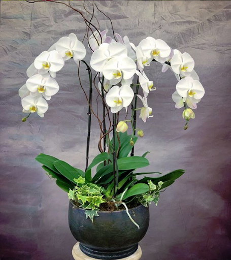 Florist «Finishing Touch Florist & Gifts», reviews and photos, 1645 140th Ave NE B4, Bellevue, WA 98005, USA