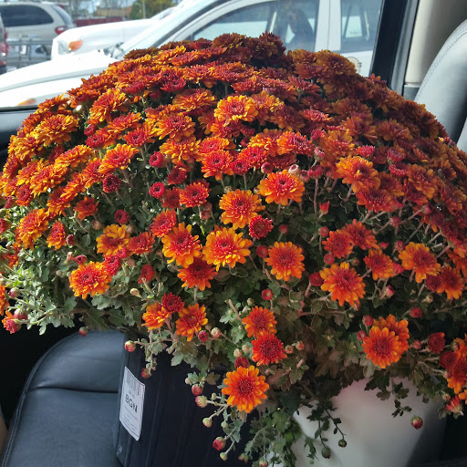 Grocery Store «Kroger», reviews and photos, 1571 N State St, Greenfield, IN 46140, USA