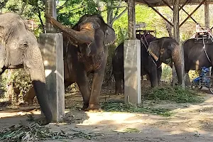 Kinnaree Elephant Camp image