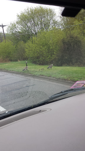 Park «Valley View Park», reviews and photos, 5575 Ozark Avenue North, Oak Park Heights, MN 55082, USA