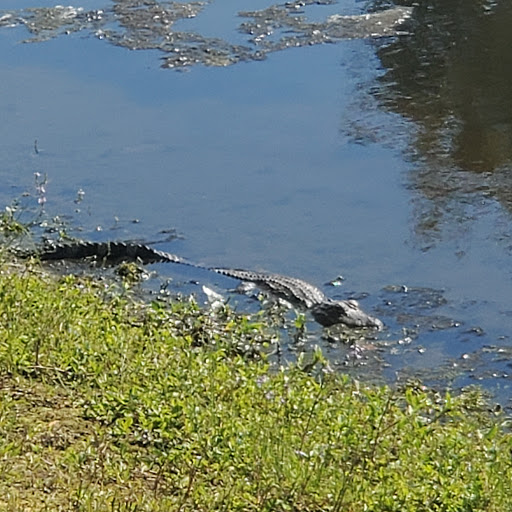 Golf Club «Stonegate Golf Club at Solivita», reviews and photos, 404 Village Drive, Kissimmee, FL 34759, USA