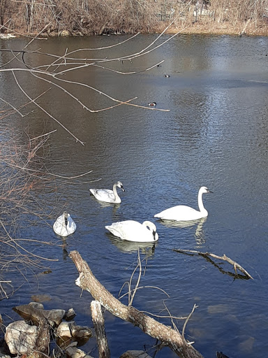 Zoo «Topeka Zoo», reviews and photos, 636 SW Zoo Pkwy, Topeka, KS 66606, USA